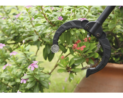 Greifzange zum Aufheben einer Münze vor Pflanzen