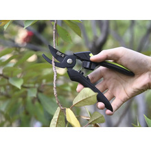 Gartenschere beim Schneiden eines Astes