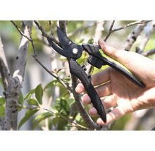 Gartenarbeitsschere beim Schneiden eines Astes