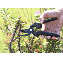 Gartenschere schneidet einen stacheligen Ast