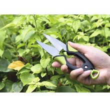 Hand mit Gartenschere vor grünen Pflanzen