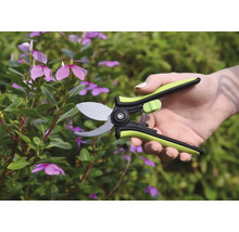 Gartenschere im Einsatz an einer Pflanze