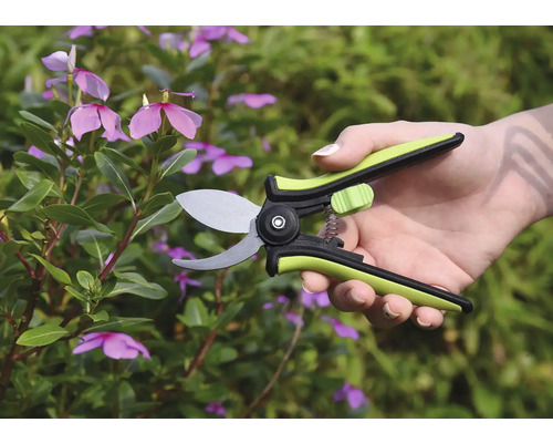 Gartenschere im Einsatz an einer Pflanze