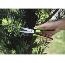 Gartenschere schneidet einen Zweig