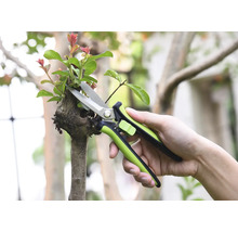 Gartenschere schneidet einen Ast