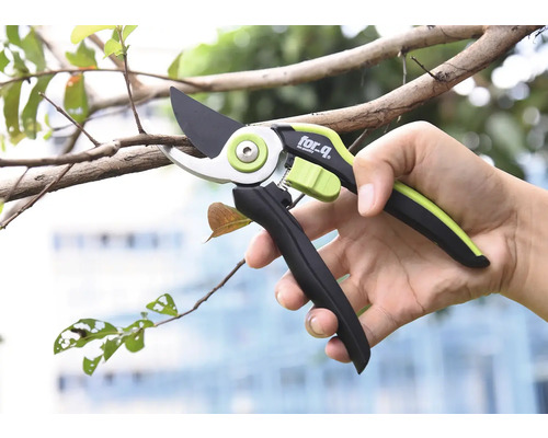 Nahaufnahme einer Hand, die eine Astschere beim Beschneiden eines Zweigs hält