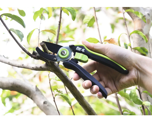 Gartenschere schneidet einen Ast