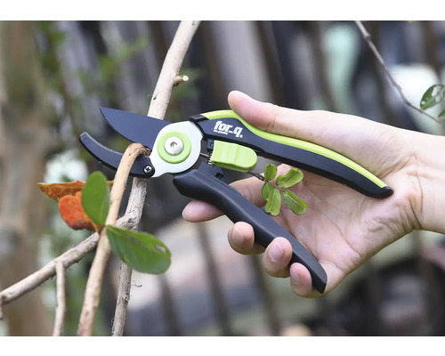 Eine Person hält eine Gartenschere beim Schneiden eines Astes.