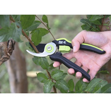 Astschere im Einsatz an einem Baum