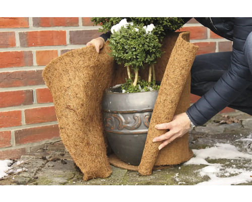 Person wickelt Pflanztopf mit Winterschutzmatte ein