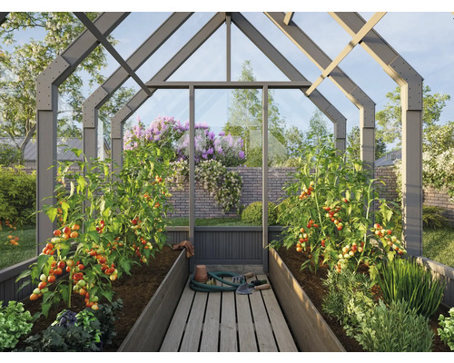 Gewächshaus mit Tomatenpflanzen und Gartenzubehör.