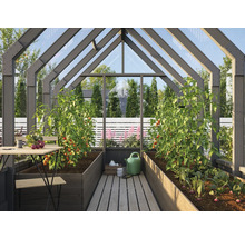 Gewächshaus mit Pflanzen, Tisch und Stuhl.