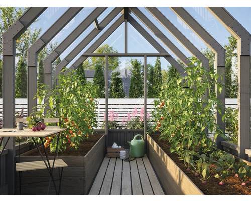 Gewächshaus mit Pflanzen, Tisch und Stuhl.