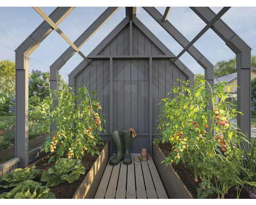 Gewächshaus mit Tomatenpflanzen, Salat und Karotten in Hochbeeten