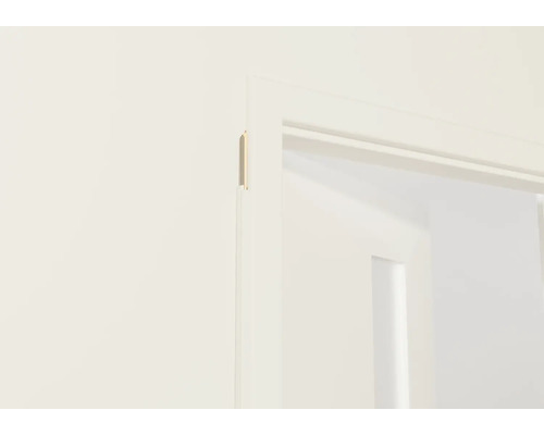 Detailansicht einer weißen Türzarge mit einem Türblatt im Hintergrund