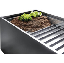 Hochbeet mit Erde und Salatpflanzen