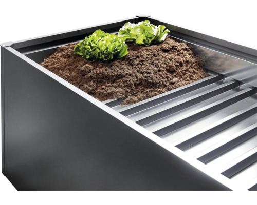 Hochbeet mit Erde und Salatpflanzen