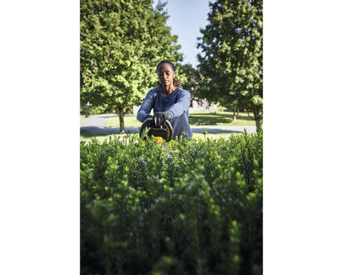 Frau schneidet Hecke mit Heckenschere im Garten.
