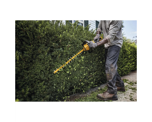 Eine Person schneidet mit einer Heckenschere eine Hecke im Garten.