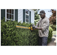 Mann schneidet Hecke mit Heckenschere im Garten.