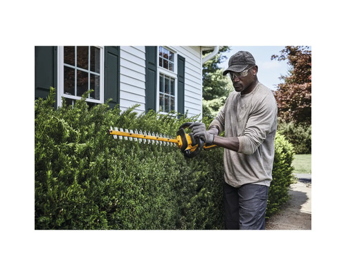 Mann schneidet Hecke mit Heckenschere im Garten.
