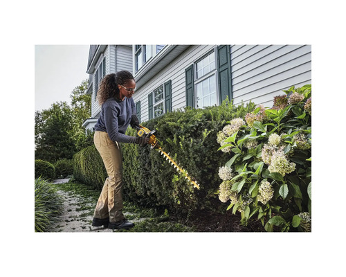 Frau schneidet Hecke mit einer Heckenschere im Garten.