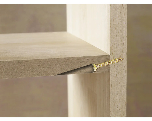 Detailansicht eines Regalbretts, das mit einer Schraube an der Seitenwand befestigt ist