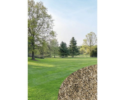 Landschaftsbild mit Rasenfläche, Bäumen und Rasensamen im Vordergrund