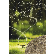 Rasensprenger bewässert Rasen mit Rasensamen