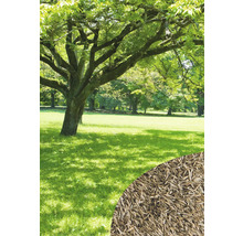 Szene einer Rasenfläche mit einem Baum und Rasensamen