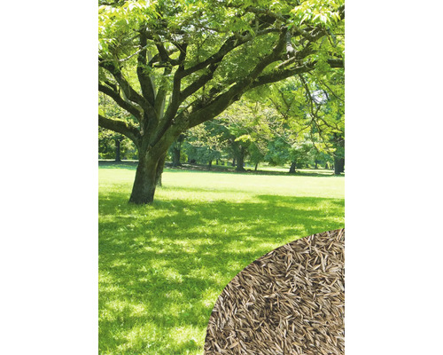 Szene einer Rasenfläche mit einem Baum und Rasensamen