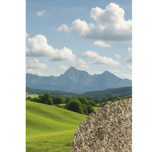 Illustration von Rasensamen vor einer Landschaft