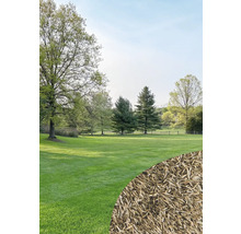 Landschaft mit Rasenfläche und Rasensamen