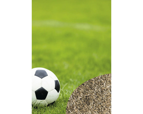 Fußball und Rasensamen auf einem Rasen