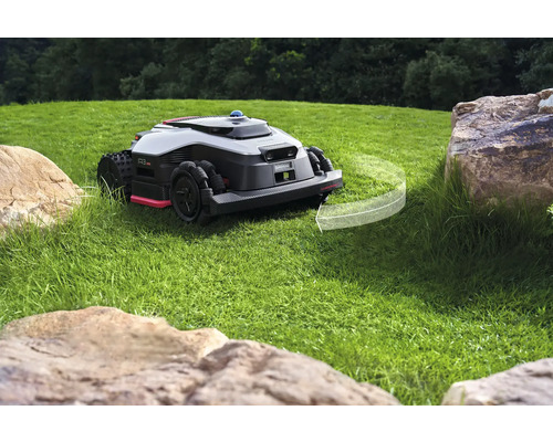 Mähroboter auf Rasenfläche