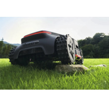 Rasenmähroboter auf Rasenfläche mit Baum im Hintergrund