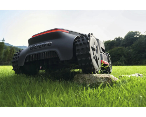 Rasenmähroboter auf Rasenfläche mit Baum im Hintergrund