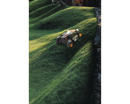 Mähroboter auf einem Rasenhügel