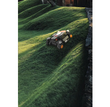 Rasenmähroboter auf einem grasbewachsenen Hügel