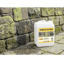 Kanister Grünbelag Entferner vor Steinwand mit Grünbelag