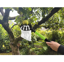 Apfelpflücker im Einsatz zum Ernten von Äpfeln an einem Baum.