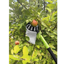 Apfelpflücker im Einsatz an einem Apfelbaum