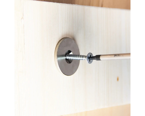 Schraube mit Unterlegscheibe wird in Holz geschraubt