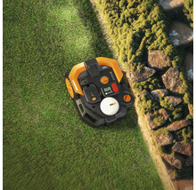 Aufsicht auf einen Rasenmähroboter auf Gras neben einer Steinmauer.