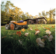 Rasenmähroboter auf einer Rasenfläche vor einem Wohnhaus