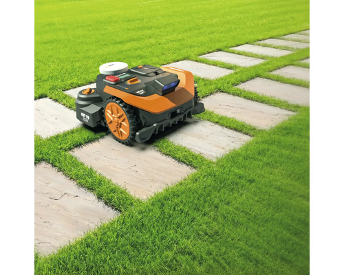 Rasenmähroboter auf Rasen und Steinplatten