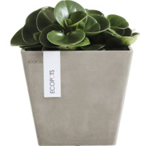 Quadratischer Ecopots Pflanzkübel in Steinoptik mit grüner Zimmerpflanze.