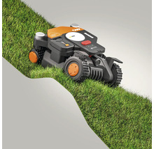 Aufsitzmäher auf Rasen