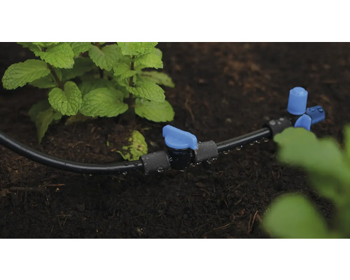 Bewässerungssystem mit Tropfschlauch und Absperrventil im Garten