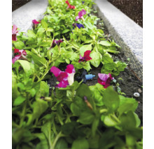 Blumenbeet mit Bewässerungssystem für Pflanzen